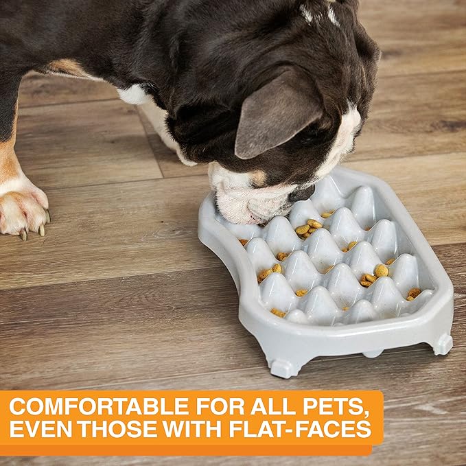 Neater Pet Brands Neater Slow Feeder Dog Bowls, Slows Down Fast Eaters to Help Digestion & Prevent Overeating, Non-Slip Food Bowl, BPA-Free, Holds 2.5 Cup of Food for Small to Medium Breed or Puppy