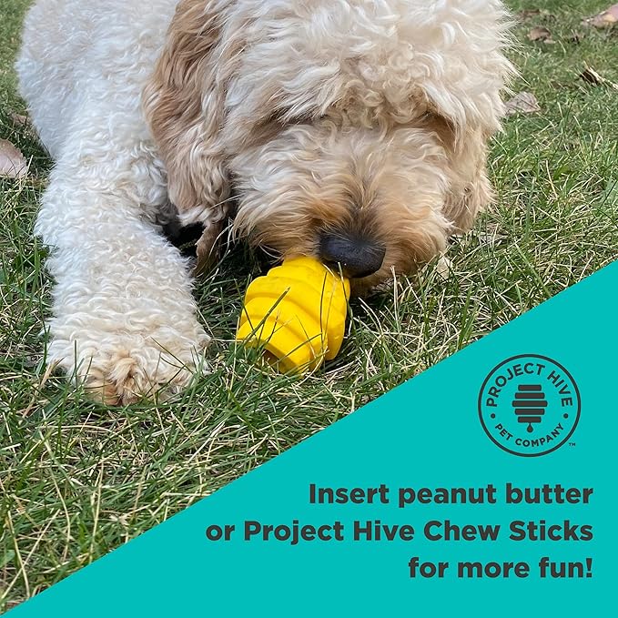 PROJECT HIVE ·PET COMPANY· - Hive Chew Toy for Small Dogs - Dog Chew Toy for Puppies and Small Breeds - Floats in Water - Durable and Tough - Made in The USA