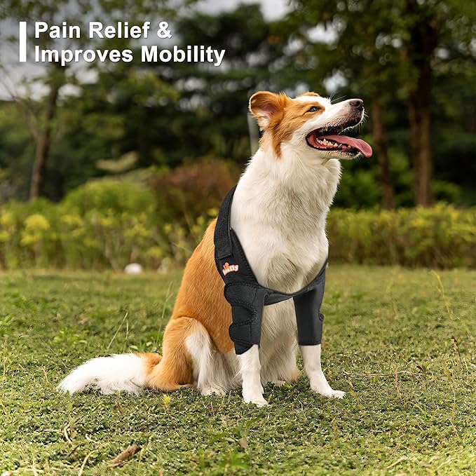 NeoAlly Dog Elbow Brace Protector Pads for Canine Elbow and Shoulder Support Elbow Hygroma, Dysplasia, Osteoarthritis, Elbow Calluses, Pressure Sores and Shoulder Dislocation - XS Pair