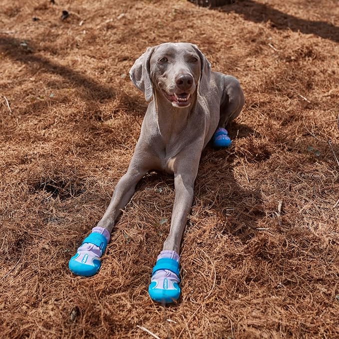 Dog Shoes, Waterproof Dog Booties Paw Protector for Hot Pavement, Snowy Day, Outdoor Walking Skip-Proof Dog Shoes Blue 2.5in L