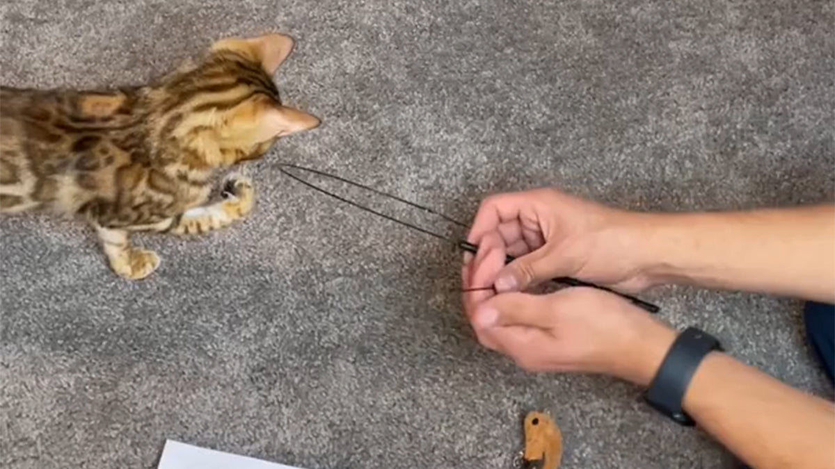 Leo's Paw Interactive Bird Simulation Cat Toy (Replacement Wire + Base + 2 PCS Sticky Pads)