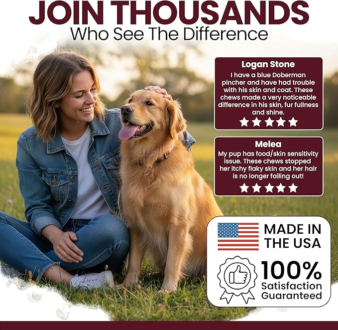 Salmon Oil for Dogs - Soft Chew Omega Treats for Skin and Coat - Fish Oil Blend of Essential Fatty Acids, Omega 3 and 6, Vitamins, Antioxidants and Minerals - Made in USA (180 Chews, Lamb)