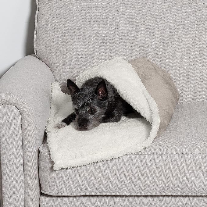 Furhaven Waterproof & Self-Warming Throw Blanket for Dogs & Indoor Cats, Washable & Reflects Body Heat - Soft-Edged Terry & Sherpa Dog Blanket - Dove, Small