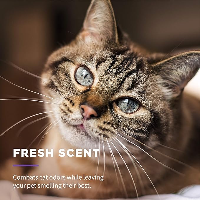 Wet Ones for Cats Freshening Wipes, Multi-Purpose Cat Grooming Wipes with Aloe Vera, Helps Remove Dirt, Odor, and Dander Between Baths, Fresh Scent, 50 Count - 3 Pack