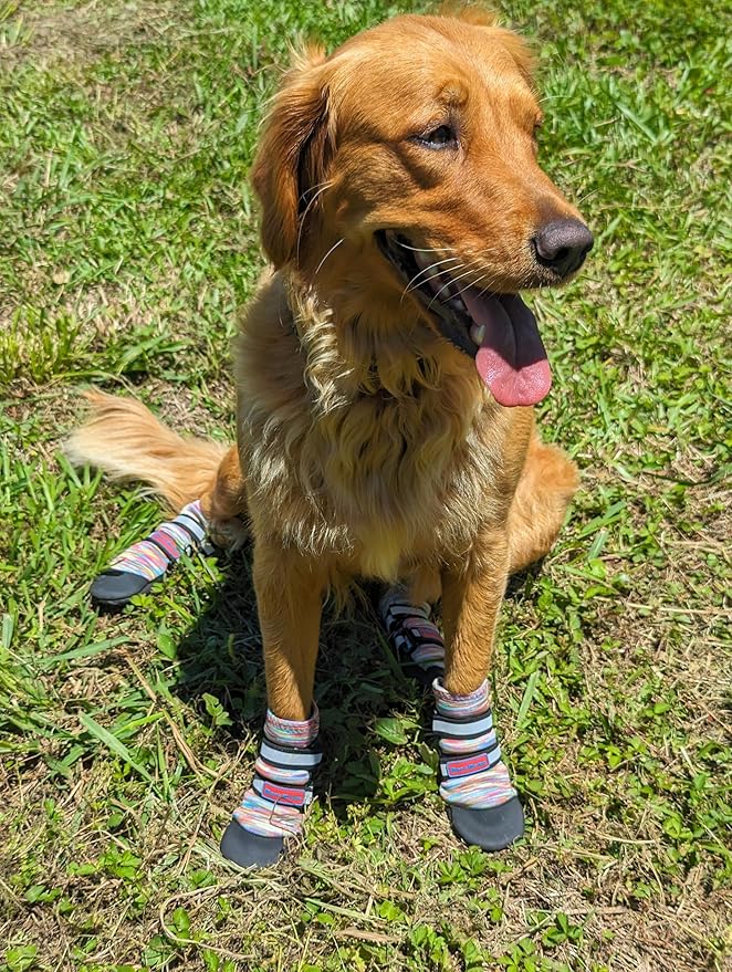 All Weather Neoprene Paw Protector Dog Boots with Reflective Straps in 5 Sizes! (Multicolor Medium)