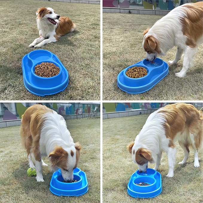PetLike Ants Away Double Pet Feeding Bowls Dog Water and Food Bowls,6 cups/48oz Pet Feeder Bowls for Medium Large Dogs Cats (Blue, 15.5X9.5X2.75 INCH)
