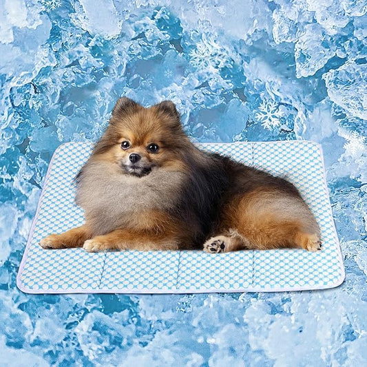 Dog Cooling Mat for Small Dogs - 24x18 Orthopedic Memory Foam Pet Pad for Summer, QMAX>0.5, Washable Premium Comfort Crate Pad for Your Furry Companion, Blue