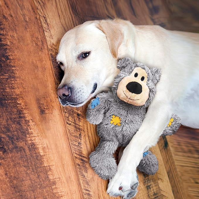 KONG - Wild Knots Bear - Internal Knotted Ropes and Minimal Stuffing for Less Mess - for Small/Medium Dogs (Assorted Colors)