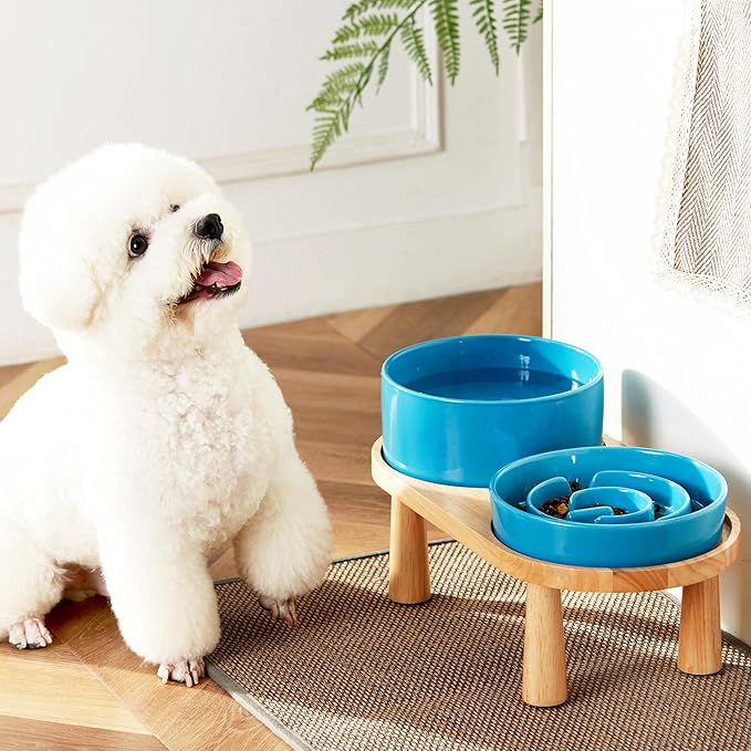 Ceramic Slow Feeder and Water Bowl Set for Medium and Large Dogs, 8.0 Inches Ceramic Dog Bowls Elevated with Wooden Stand, 2.0 Cups Dog Slow Feeder(30oz) and 70oz Water Bowl Set, Blue