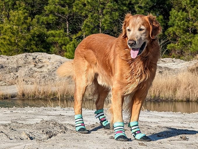 All Weather Neoprene Paw Protector Dog Boots with Reflective Straps in 5 Sizes! (Turquoise Medium)