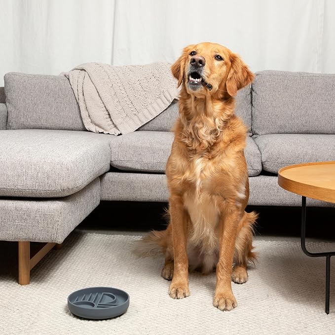 Should We Go? Slow Feeder for Dogs & Puppies, The Slowdown Bowl Silicone Slow Eating, Modern Lick Mat Design, Reduces Gulping, Fits 2 Cups, 7.5” Across x 1.5” Tall, Mealtime Challenge, Medium-Charcoal