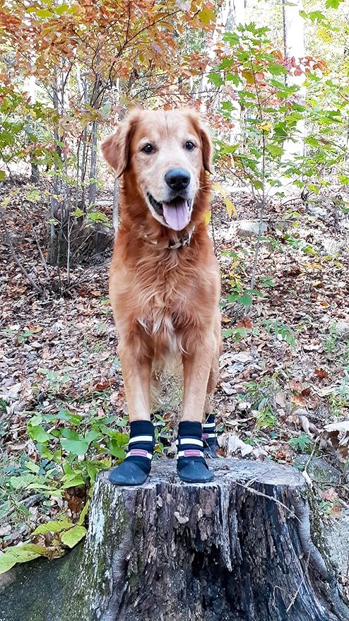 All Weather Neoprene Paw Protector Dog Boots with Reflective Straps in 5 Sizes! (Black Large)
