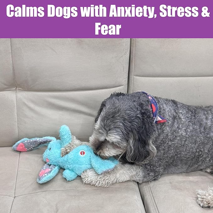 SPOT Soothers Heartbeat Bunny – 12 Inch Calming Plush Toy for Dogs & Puppies – Heartbeat Mechanism, Lavender Scent Beads, and Squeaker – Helps with Anxiety & Crate Training, Assorted Colors