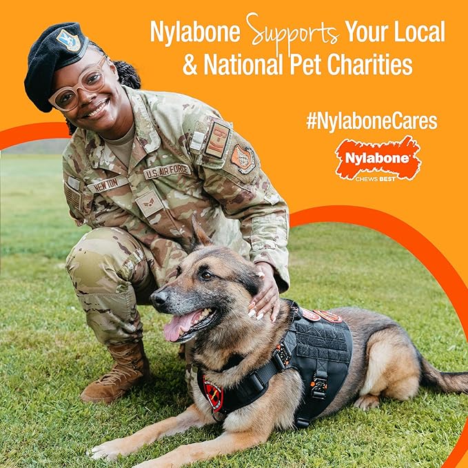 Nylabone Power Chew Toy Bundle, Cute Dog Toys for Aggressive Chewers, Filet Mignon, Cheese, and Bacon Flavors, Large Dogs - Up to 50 lbs, 3 Pack