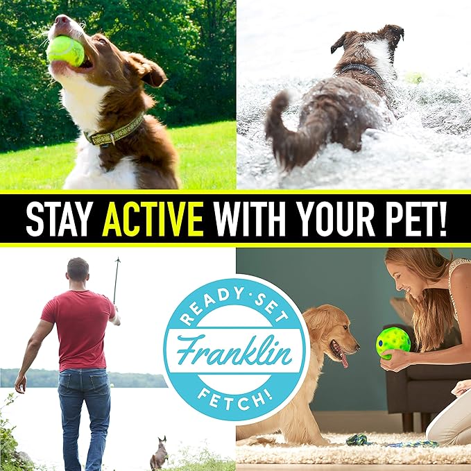Franklin Ready Set Fetch! Laugh and Wiggle Ball Interactive Dog Toy Fun Giggle Sounds Encourage Endless Play Super Durable BPA Free Tough No Batteries Required