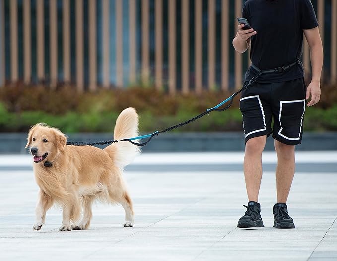 iYoShop Hands Free Dog Leash with Zipper Pouch, Dual Padded Handles and Durable Bungee for Walking, Jogging and Running Your Dog (Large, 25-120 lbs, Emerald)