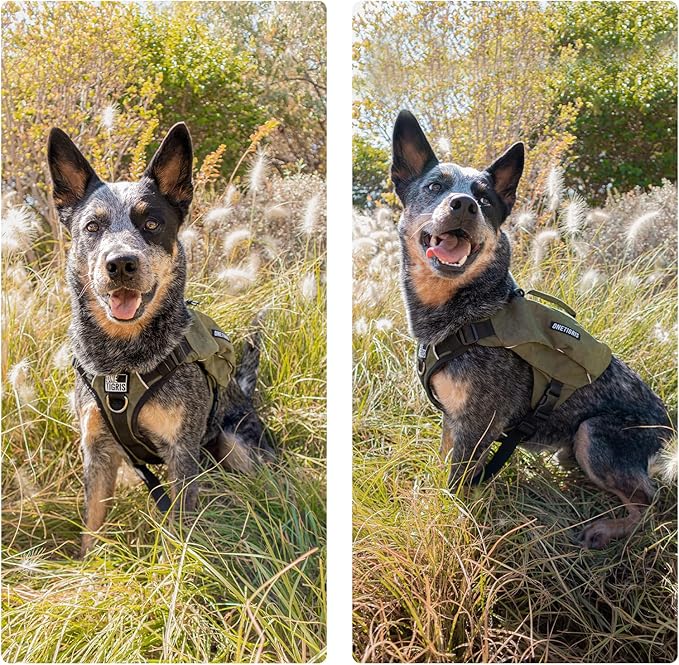 ONETIGRIS Y-Shaped Dog Backpack with Handle, Pockets & No Pull D-Rings, Lightweight Hiking Gear for Dogs Hunting Camping Travel (Medium, Green)