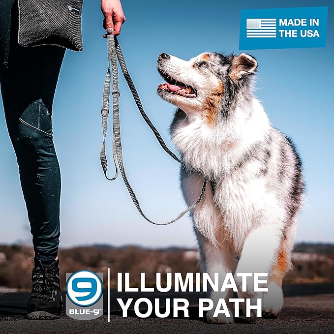 Blue-9 Reflective Multi-Function Dog Leash, Double Attachment Adjustable Lead for Obedience Training and Running, 6 Feet, Made in The USA, Small/Medium, Blue