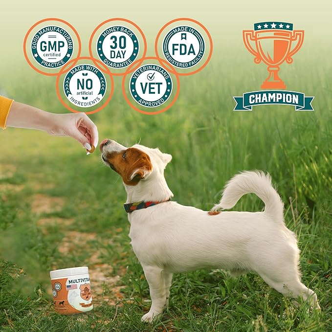 Old Dog's Barn Multivitamins 19 in 1 for Dogs – Glucosamine, Salmon Oil, Cranberry Powder, Hemp Seed Oil (Omega 6), MSM, Chondroitin, Vitamin C, Probiotics, Zinc & Folic Acid 120 Soft Chews