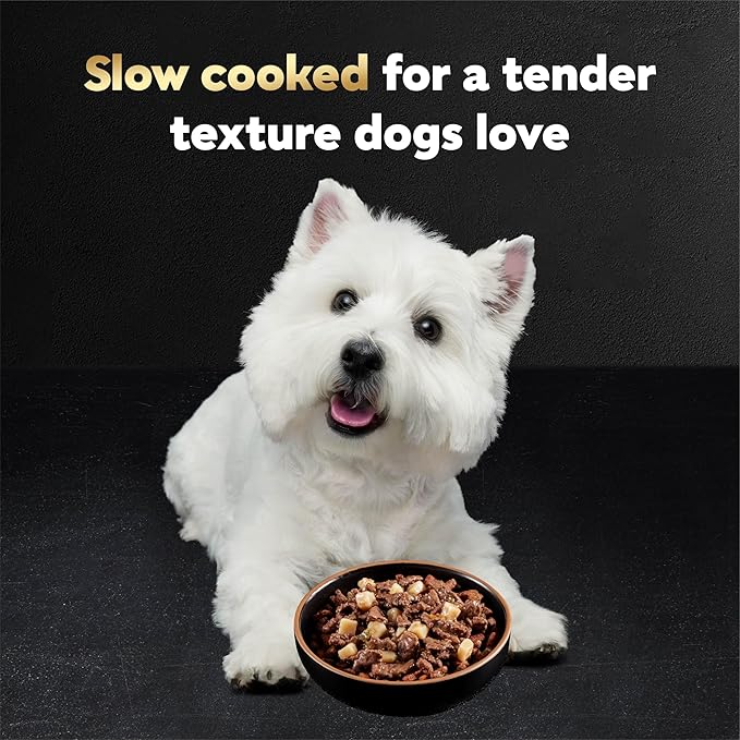 Cesar Home Delights & Classic Loaf in Sauce Wet Dog Food Variety Pack, 3.5 oz. Trays, 36 Count