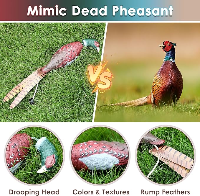 Saillong 2 Pack Pheasant Dog Toy, Bird Duck Dog Training Supplies, Hunting Dog Training Dummy Launcher Dog Training, Retriever Training Floating Dead Fowl Trainer Pheasant for Dog Training