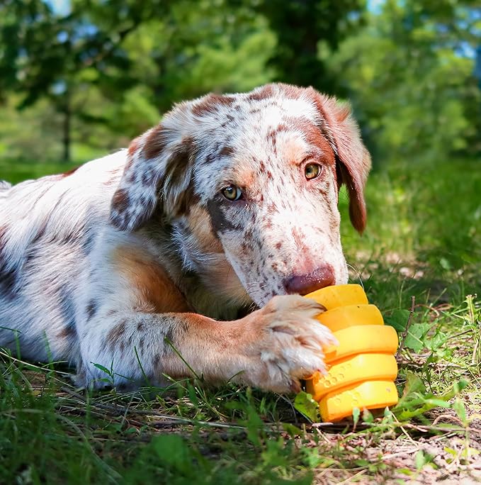 PROJECT HIVE ·PET COMPANY· - Hive Chew Toy for Large Dogs - Dog Chew Toy for Large Breeds - Floats in Water - Durable and Tough - Made in The USA
