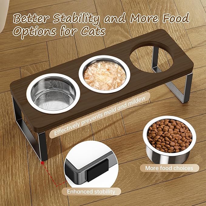 2 Pack Elevated Cat Bowls with 3 Stainless Steel Bowls | 10° Tilted Anti-Vomiting Raised Cat Food Bowl for Small Cats and Puppies Pet Bowl with Stand