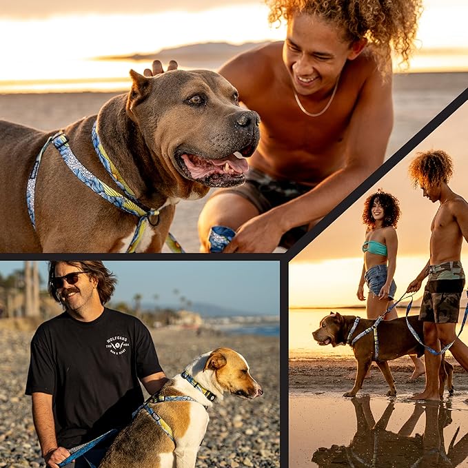Wolfgang Heavy Duty Adjustable Dog Harness, Pull-Tested to Over 800 lbs for Walking & Training, DawnPatrol Print, Extra Large