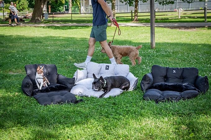 JACKO & CO - Premium Dog Car Seat v2 Booster Seat for Small & Medium Pets Under 40lbs - Machine Washable w Removable Covers, Water Resistant w Clip-On Leash for Back Seat Use (Grey Medium (25-40lbs)
