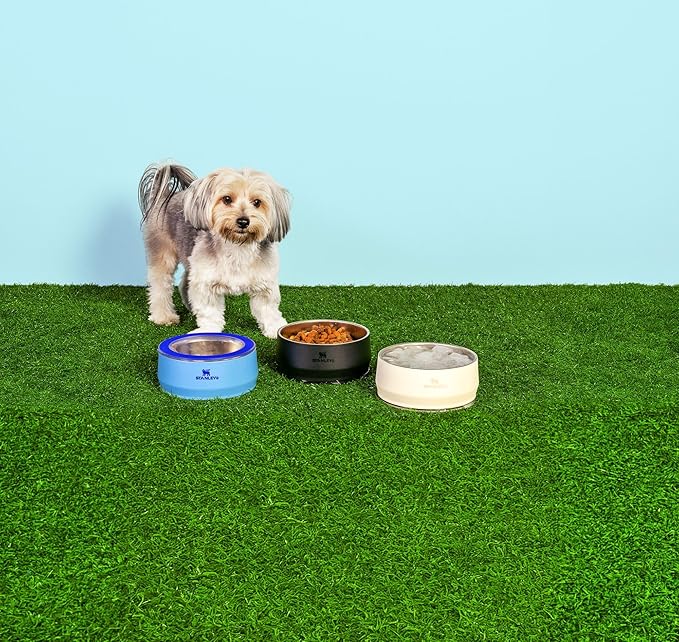 STANLEY Pet Bowl | 6-Cup (48 oz) Insulated Stainless Steel Dog & Cat Bowl | Splash-Resistant Lid | Dishwasher Safe | BPA-Free | Cream