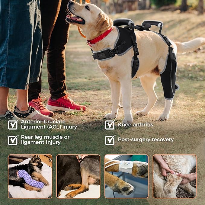 Dog Knee Support for ACL Tear Rehabilitation and Dislocated Patella -Adjustable Leg Support and Sufficient Breathability,Injury Recovery and Balance Assistance-Left Leg-XL Size