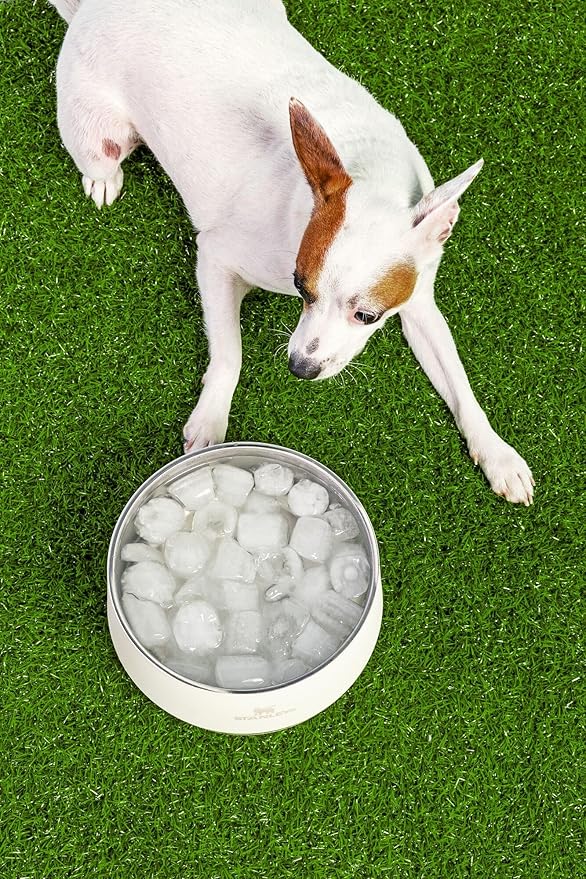 STANLEY Pet Bowl | 6-Cup (48 oz) Insulated Stainless Steel Dog & Cat Bowl | Splash-Resistant Lid | Dishwasher Safe | BPA-Free | Rose Quartz