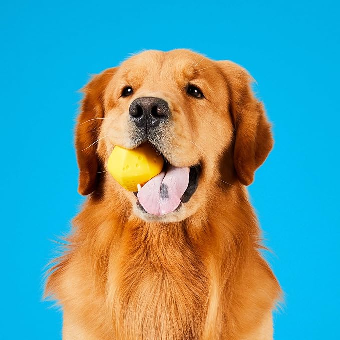 PROJECT HIVE ·PET COMPANY· - Hive Balls 2 Pack - Dog Balls - Toy for Large and Medium Breeds - Great for Fetch - Floats in Water - Durable and Tough for Aggressive chewers - Made in The USA