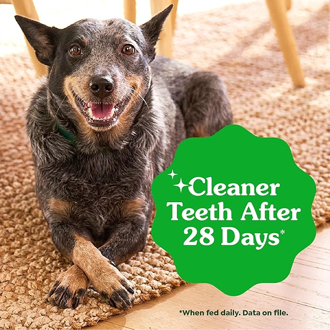 Greenies Veterinarian-Recommended Adult Natural Dental Dog Treats Large Size, Original Flavor, 12 oz. Pack, 8 Count