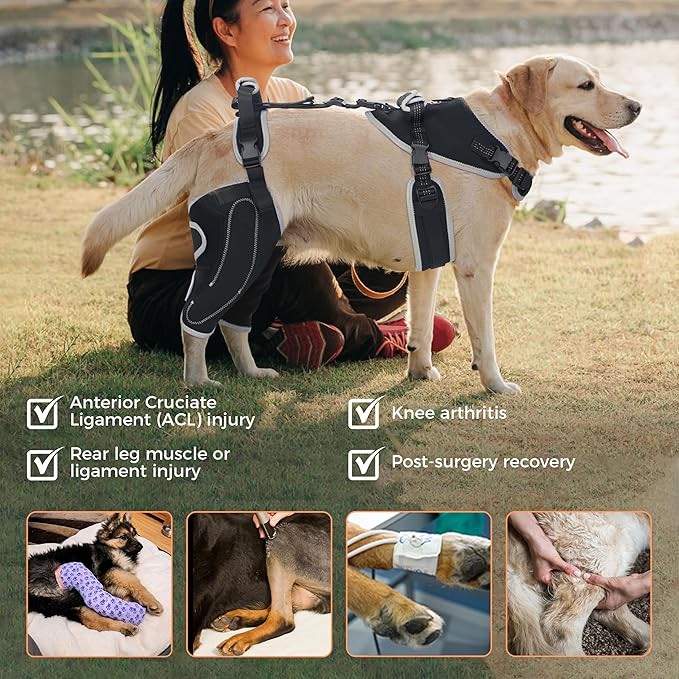 Dog Knee Support for ACL Tear Rehabilitation and Dislocated Patella -Adjustable Leg Support and Sufficient Breathability,Injury Recovery and Balance Assistance-Both Leg-L Size