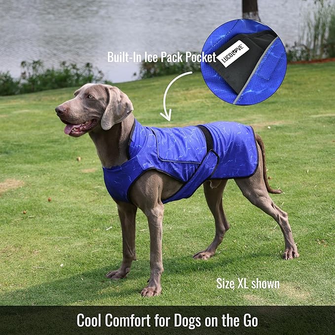 Dog Cooling Vest with Ice Pack – 2-Layer Evaporative Cooling Jacket with High Collar, UV Protection & Size-Matched Ice Pack – Cooling Vest for Dogs for Hot Weather (Blue Aqua, X-Large)