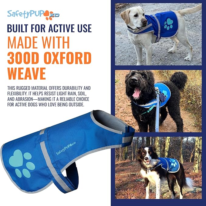 SafetyPUP XD Dog Reflective Vest – Hi-Vis Fluorescent Visibility That Helps to Safeguard Your Pet On/Off Leash in Urban & Rural Areas (Blue, Large)