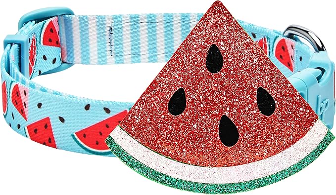 Blueberry Pet Summer Sparkle Dog Collar, Adjustable Medium Size, Neck 14.5"-20", Zesty Fruit Watermelon Blue, Pet Collar with Detachable Accessory