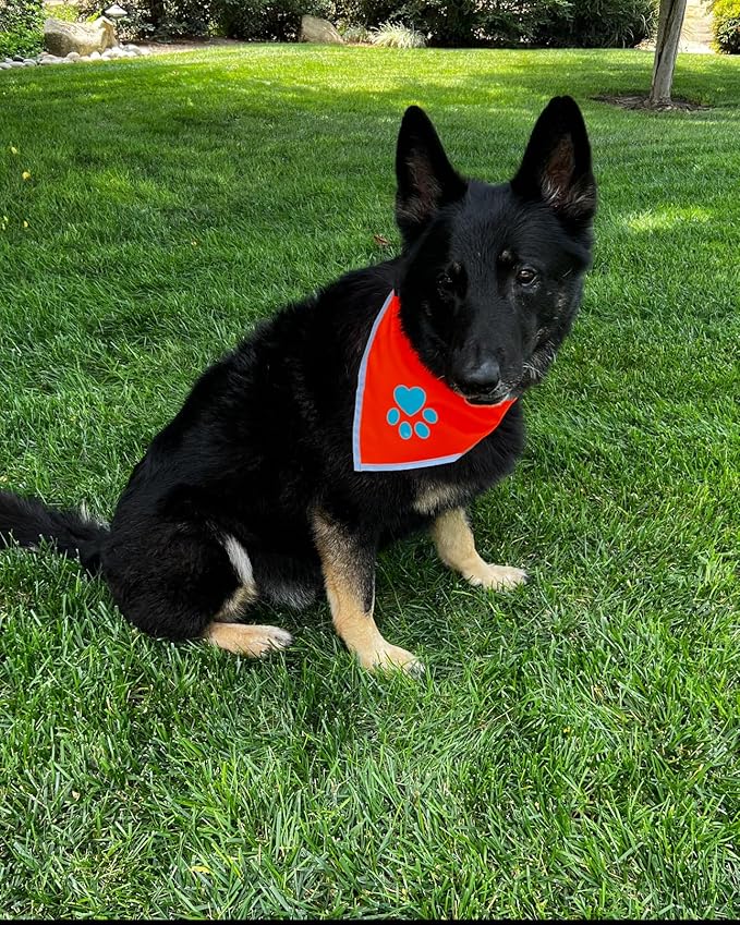 Bandana for Dogs. Blaze Orange Dog Scarf with Reflective Elements is a Perfect Pet Bandana Collar for Girl and Boy Dogs. Enhance Your Dog Walking Accessories with Our High-Visibility Handkerchief