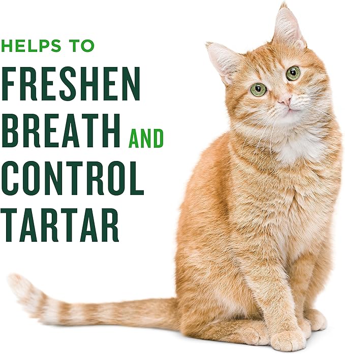 Minties Dental Treats for Cats, Chicken Flavored Treats for Cats, Freshens Breath and Controls Tartar, 2.5oz