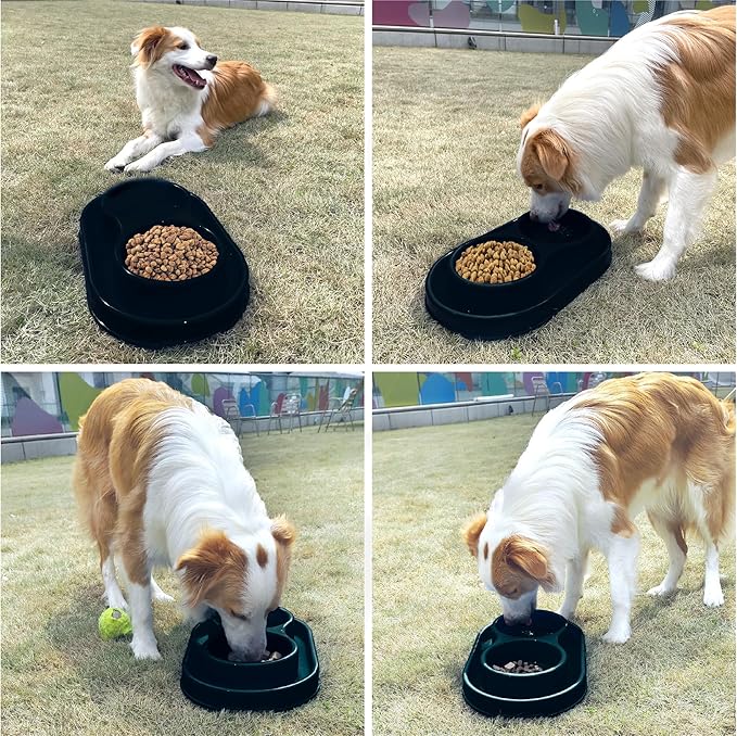 PetLike Double Dog Water and Food Bowls,Pet Feeder Bowls for Puppy Medium Dogs Cats (Black, 15.5X9.5X2.75 INCH)