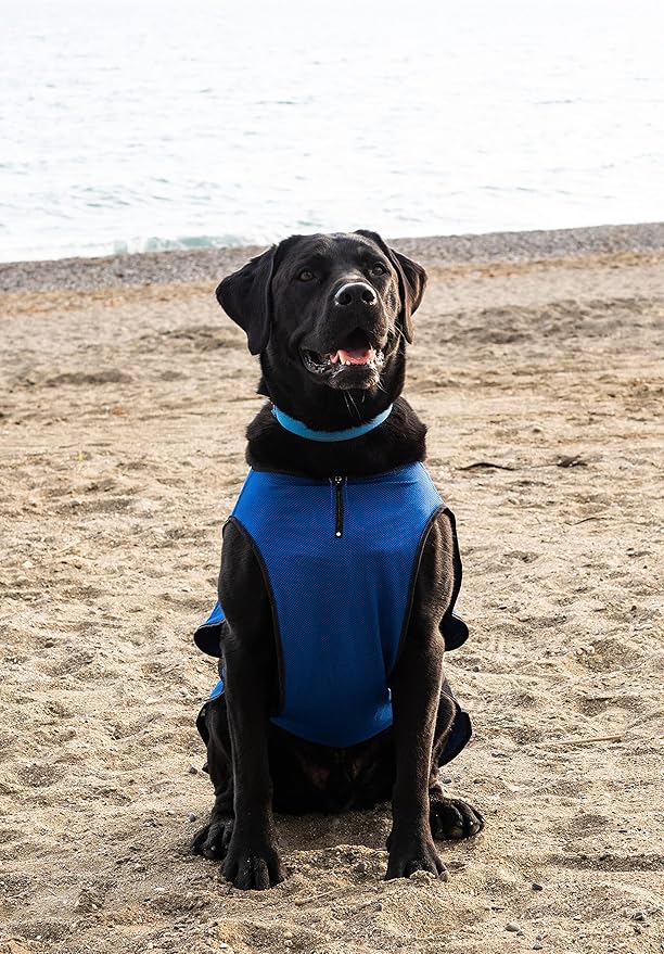 Dog Cooling Vest – Lightweight Jacket for Dogs with Zip Neck & Velcro – Easy On/Off Cooling Coat for Walks, Travel & Outdoors - XXL