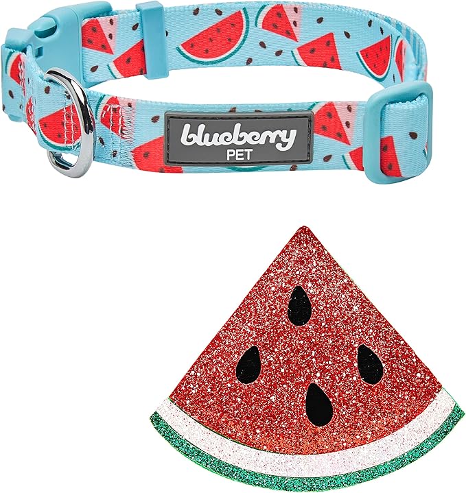 Blueberry Pet Summer Sparkle Dog Collar, Adjustable Large Size, Neck 18"-26", Zesty Fruit Watermelon Blue, Pet Collar with Detachable Accessory
