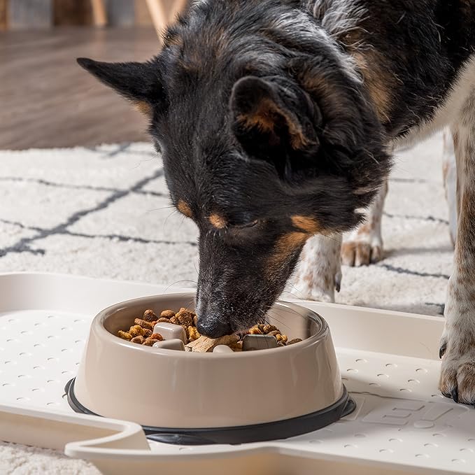 IRIS Large Slow Feeding Bowl for Long Snouted Pets, Beige/Black (Pack of 2)