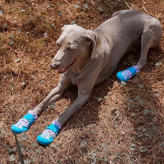 Dog Shoes, Waterproof Dog Boots & Paw Protectors with Anti-Slip Sole, 4pcs/Set Pet Dog Booties, Reflective Dog Shoes for Small Medium Large, Winter Snowy Summer Hot Pavement (Blue, 1# (3XS))