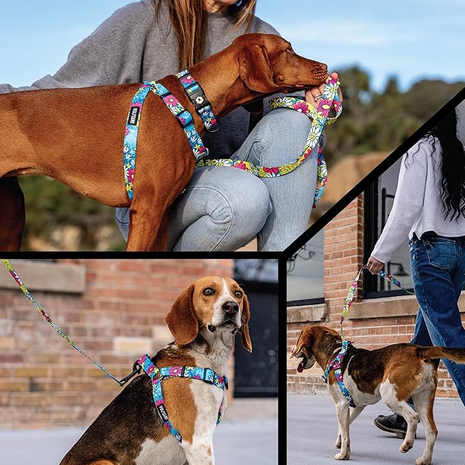 Wolfgang Heavy Duty Adjustable Dog Harness, Pull-Tested to Over 800 lbs for Walking & Training, LazyDaisy Print, Medium