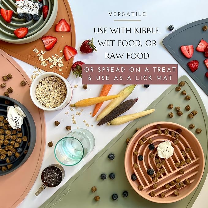 Should We Go? Slow Feeder for Dogs & Puppies, The Slowdown Bowl Silicone Slow Eating, Modern Lick Mat Design, Reduces Gulping, Fits 2 Cups, 7.5” Across x 1.5” Tall, Mealtime Challenge, Medium-Blush