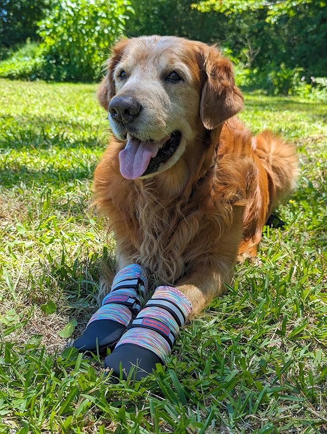 All Weather Neoprene Paw Protector Dog Boots with Reflective Straps in 5 Sizes! (Multicolor Large)