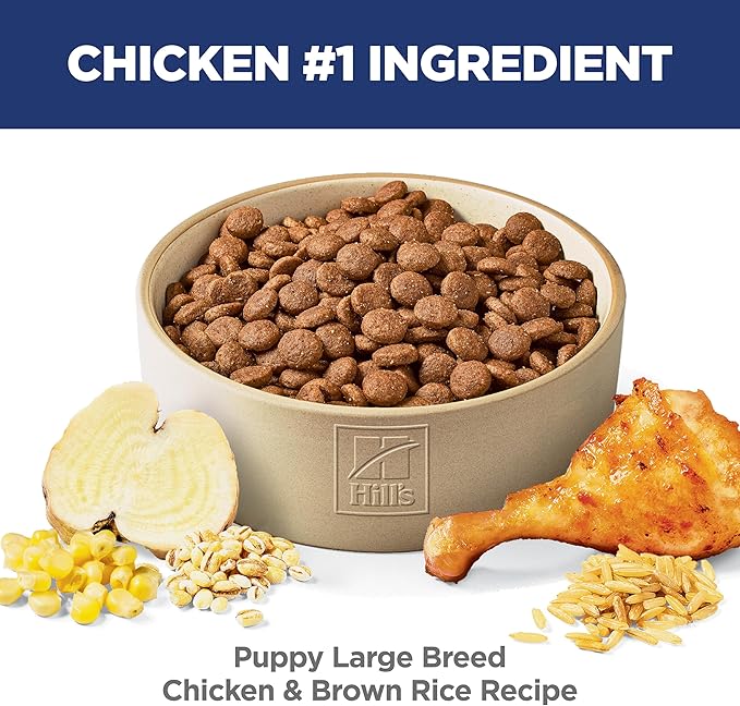 Hill's Science Diet Large Breed Puppy Food, DHA to Support Healthy Development, Chicken & Brown Rice Dry Dog Food, 27.5 lb. Bag