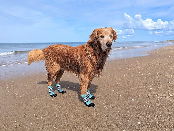 All Weather Neoprene Paw Protector Dog Boots with Reflective Straps in 5 Sizes! (Turquoise XL)